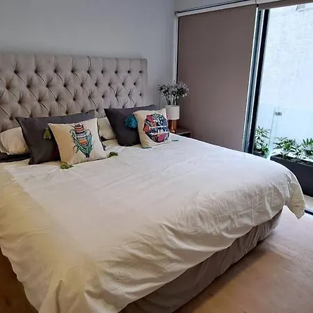 Apartamento Lindo Depa En El Corazon De La Roma